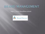 Brand Management (2)