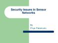 Security Issues In Sensor Networks PowerPoint PPT Presentation