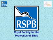 Royal Society for the Protection of Birds