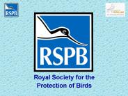 Royal Society for the Protection of Birds