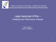 Label Switched VPNs 
