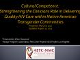 An Urban Experience: Native American/Alaskan Native HIV/AIDS Prevention PowerPoint PPT Presentation