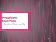 Invertebrate PowerPoint