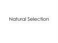 Natural Selection PowerPoint PPT Presentation