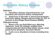 Polycystic Kidney Disease