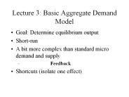 Lecture 3: Basic Aggregate Demand Model