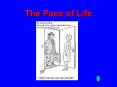 The Pace of Life PowerPoint PPT Presentation