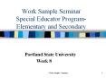 Work%20Sample%20Seminar%20Special%20Educator%20Program-%20Elementary%20and%20Secondary PowerPoint PPT Presentation