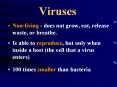 Viruses PowerPoint PPT Presentation
