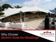 Why Choose Stretch Tents for Weddings