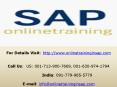 SAP BPC Trainig Online and Placement - Online Training in SAP PowerPoint PPT Presentation