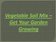 Vegetable Soil Mix – Get Your Garden Growing