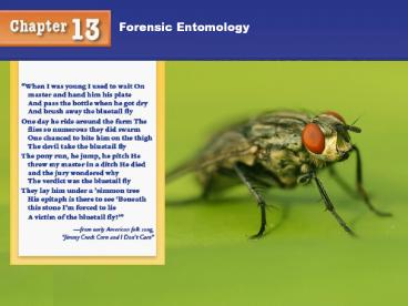 FORENSIC ENTOMOLOGY
