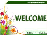 Silica GelPackaged Desiccants for Superior Moisture Protection