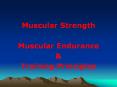Muscular Strength PowerPoint PPT Presentation