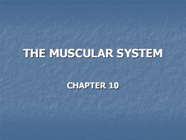 THE MUSCULAR SYSTEM