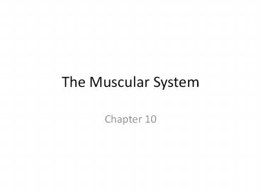 The Muscular System
