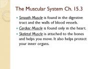 The Muscular System Ch. 15.3