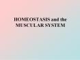 HOMEOSTASIS and the MUSCULAR SYSTEM PowerPoint PPT Presentation