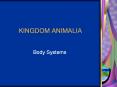 KINGDOM ANIMALIA PowerPoint PPT Presentation