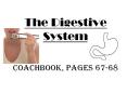 The Digestive System  Coachbook, pages 67-68 PowerPoint PPT Presentation