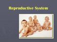 Reproductive System PowerPoint PPT Presentation