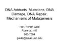 DNA Adducts, Mutations, DNA Damage, DNA Repair, Mechanisms of Mutagenesis PowerPoint PPT Presentation