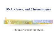 DNA, Genes, and Chromosomes