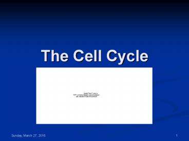 The Cell Cycle