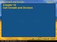 Chapter 10 Cell Growth and Division PowerPoint PPT Presentation
