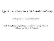 Agents, Hierarchies and Sustainability