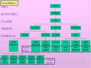 Nessun titolo diapositiva