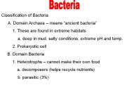 Classification of Bacteria