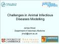 Challenges in Animal Infectious Diseases Modelling PowerPoint PPT Presentation
