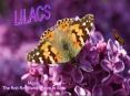 LILACS PowerPoint PPT Presentation