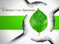 Tree Removal and Tree Root Grinding Services PowerPoint PPT Presentation