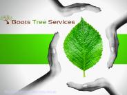 Tree Removal and Tree Root Grinding Services