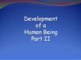 Development of a Human Being Part II PowerPoint PPT Presentation