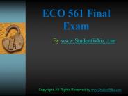 ECO 561 Final Exam