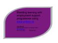 Blending learning with employment support programmes using www.writeon.ie PowerPoint PPT Presentation