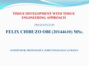 TISSUE DEVELOPMENT WITH TISSUE ENGINEERING APPROACH