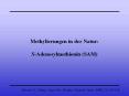 Methylierungen in der Natur: S-Adenosylmethionin (SAM) PowerPoint PPT Presentation