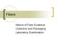 Fibers PowerPoint PPT Presentation