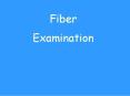 Fiber PowerPoint PPT Presentation