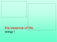 the essence of life... PowerPoint PPT Presentation