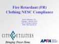 Fire Retardant (FR) Clothing NESC Compliance PowerPoint PPT Presentation