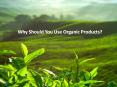 Why Should You Use Organic Products? PowerPoint PPT Presentation