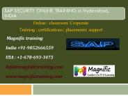 sap security training classes in online hyderabad,vijayawada
