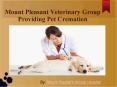 Mount Pleasant Veterinary Group Providing Pet Cremation PowerPoint PPT Presentation
