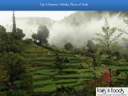 Top 3 Summer Holiday Places of India